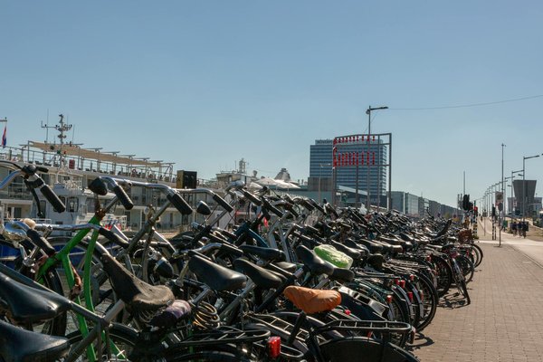 Comment créer un atelier de cuisine végétalienne pour débutants, avec des conseils sur les recettes et les techniques culinaires ?